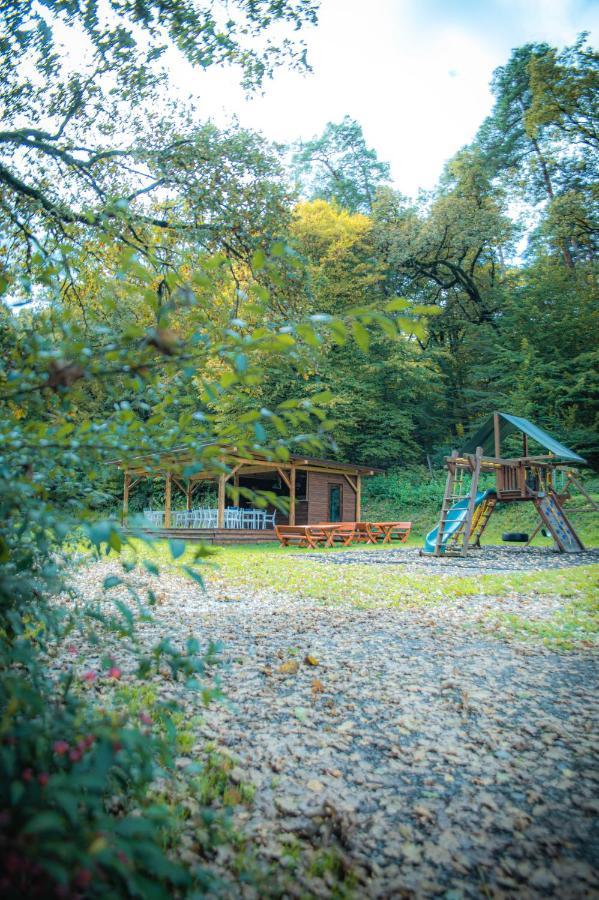 Hunter Vip Villa Reghin Exterior photo